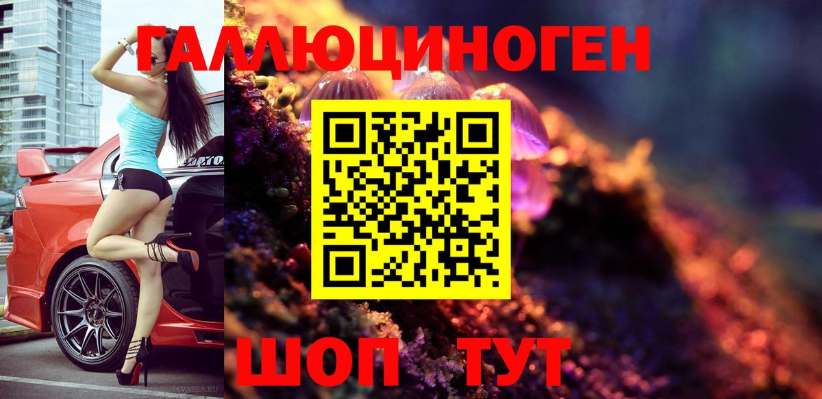 Галлюциногенные грибы Psilocybe  Вход с VPN  Армавир 